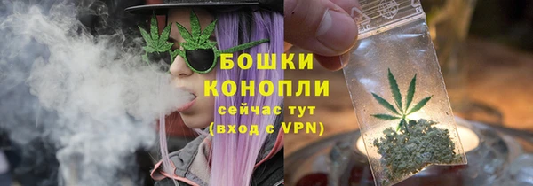 ГАЛЛЮЦИНОГЕННЫЕ ГРИБЫ Гусь-Хрустальный