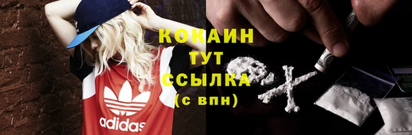 ГАЛЛЮЦИНОГЕННЫЕ ГРИБЫ Гусь-Хрустальный