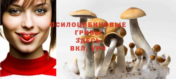 МДПВ Гусиноозёрск