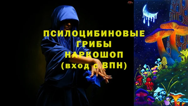 МДПВ Гусиноозёрск